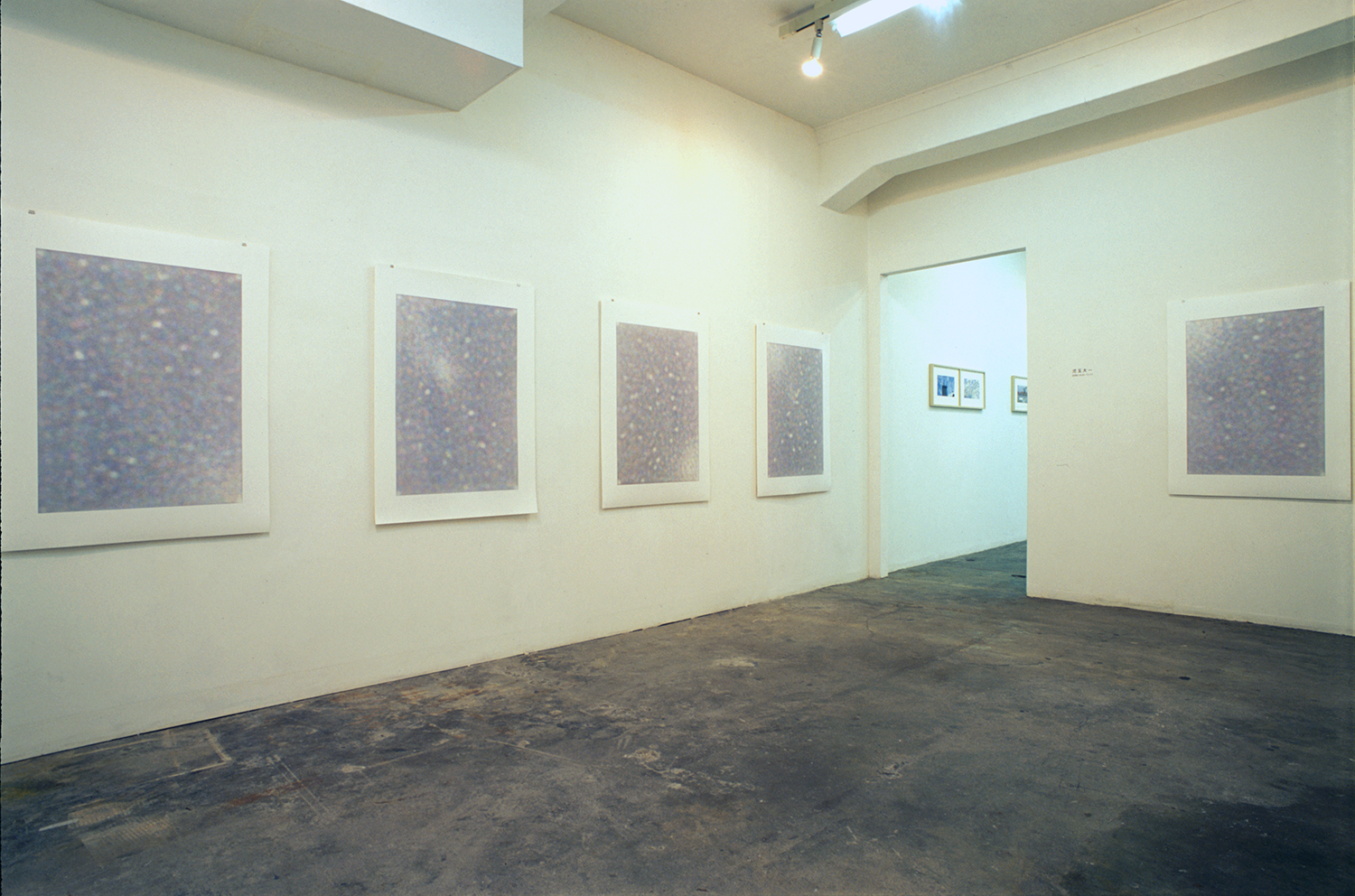 Installation view: Accumulation series｜Acrylic on YUPO paper｜image: 860 x 600mm, paper: 1094 x 788 mm｜2006 each