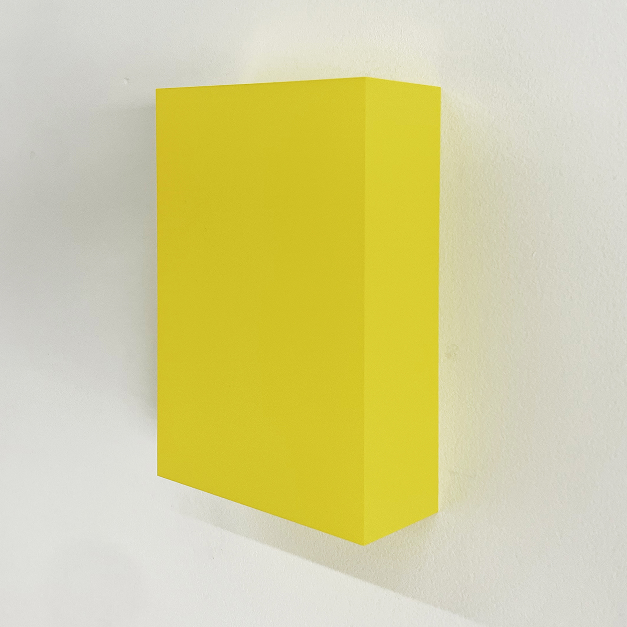 T- lemon, silkscreen paint on perspex, 15 × 10 × 4 cm, 2017<br><br>