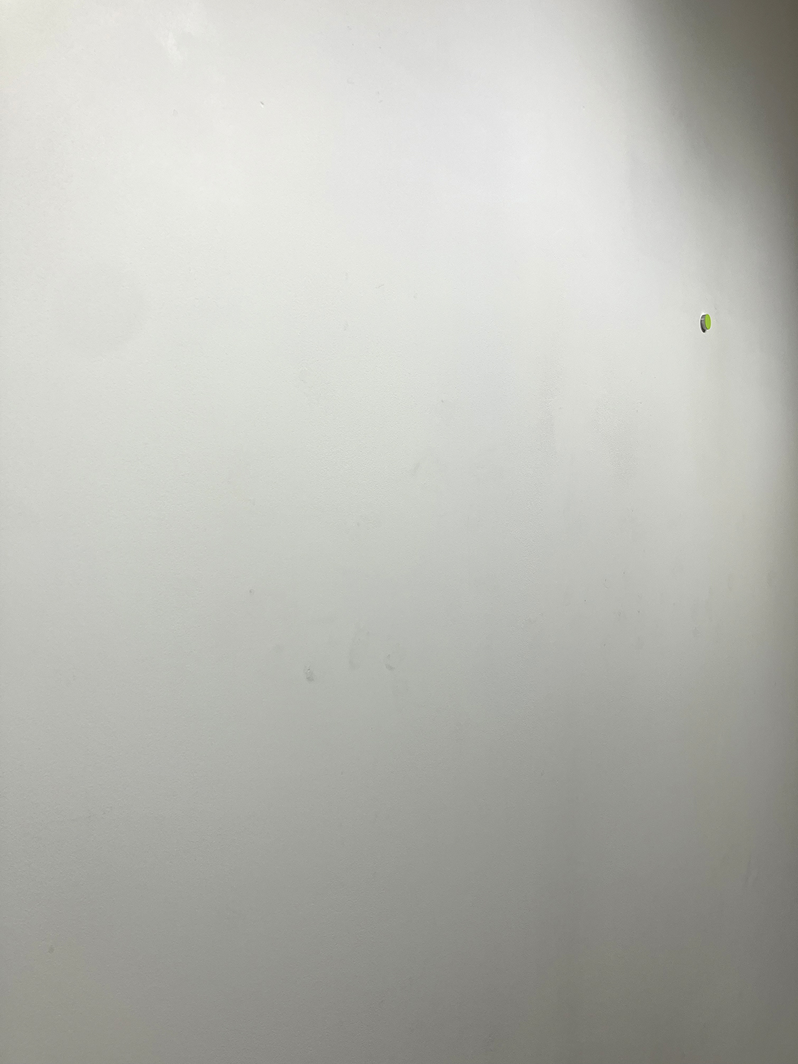 Light Green, pigment, casein on alumium, diameter 22 mm width 6 mm, 2007.<br><br>
