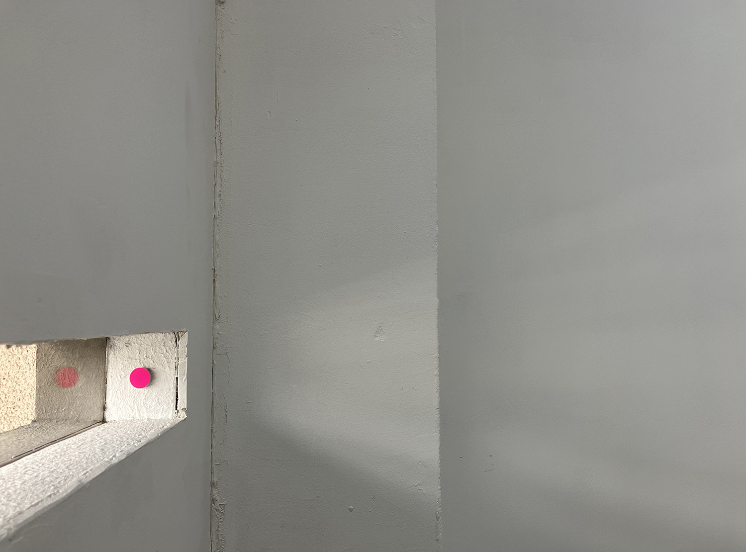 Pink, pigment, casein on alumium, diameter 22 mm width 6 mm, 2007<br><br>