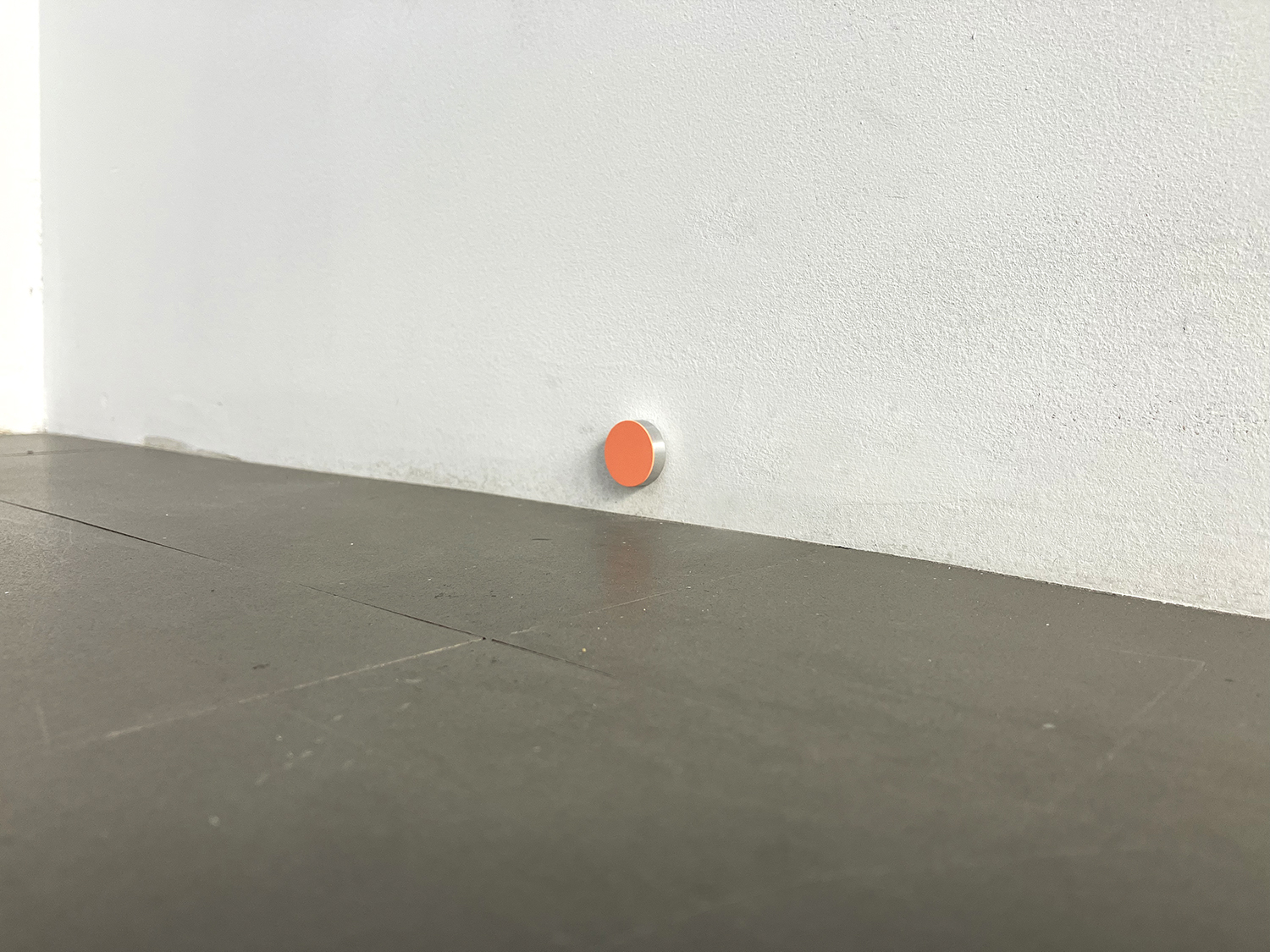 Salmon Pink, pigment, casein on alumium, diameter 22 mm width 6 mm, 2007<br><br>