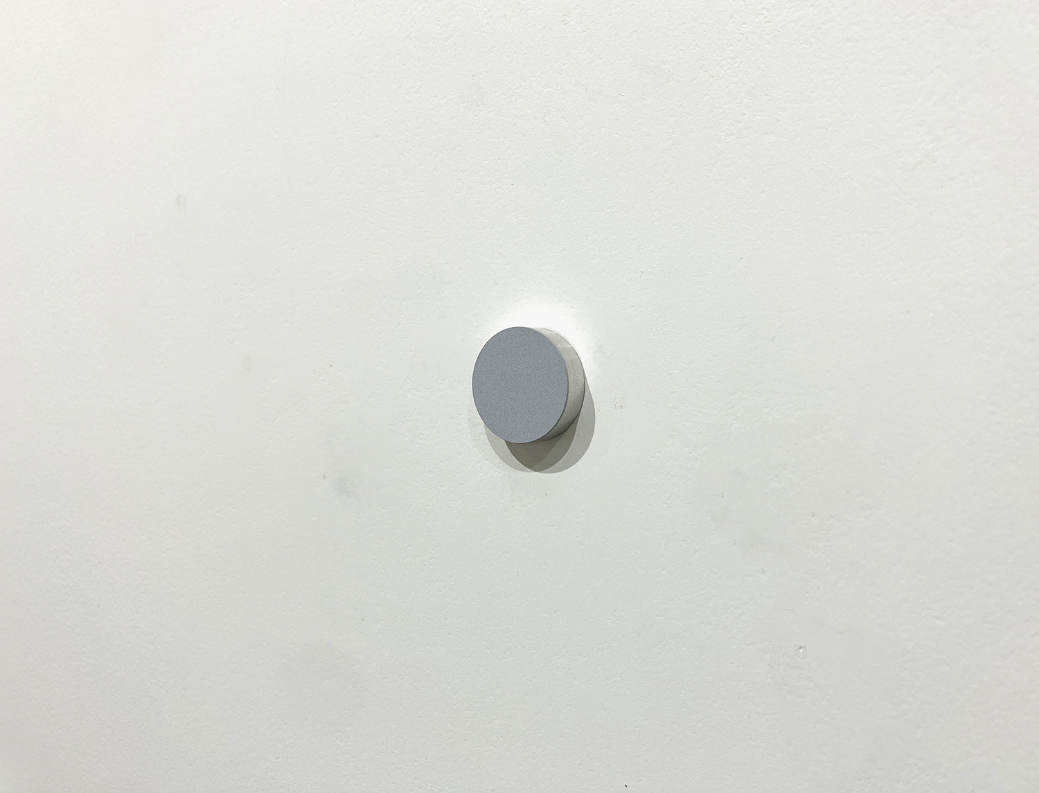Gray, pigment, casein on alumium, diameter 22 mm width 6 mm, 2007<br><br>