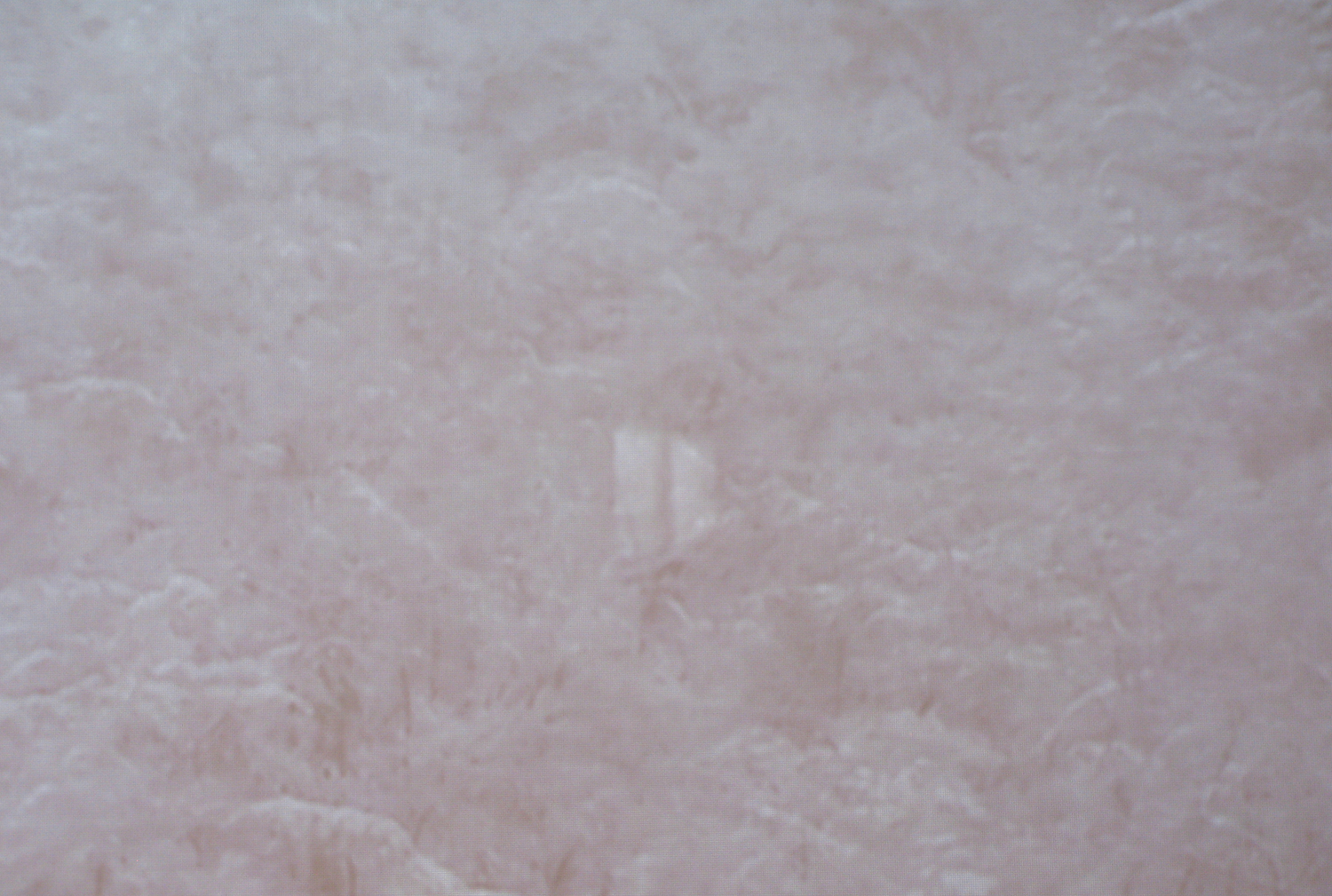 detail：雪 1｜snow 1（映像）<br>projected image　size: variety　2010