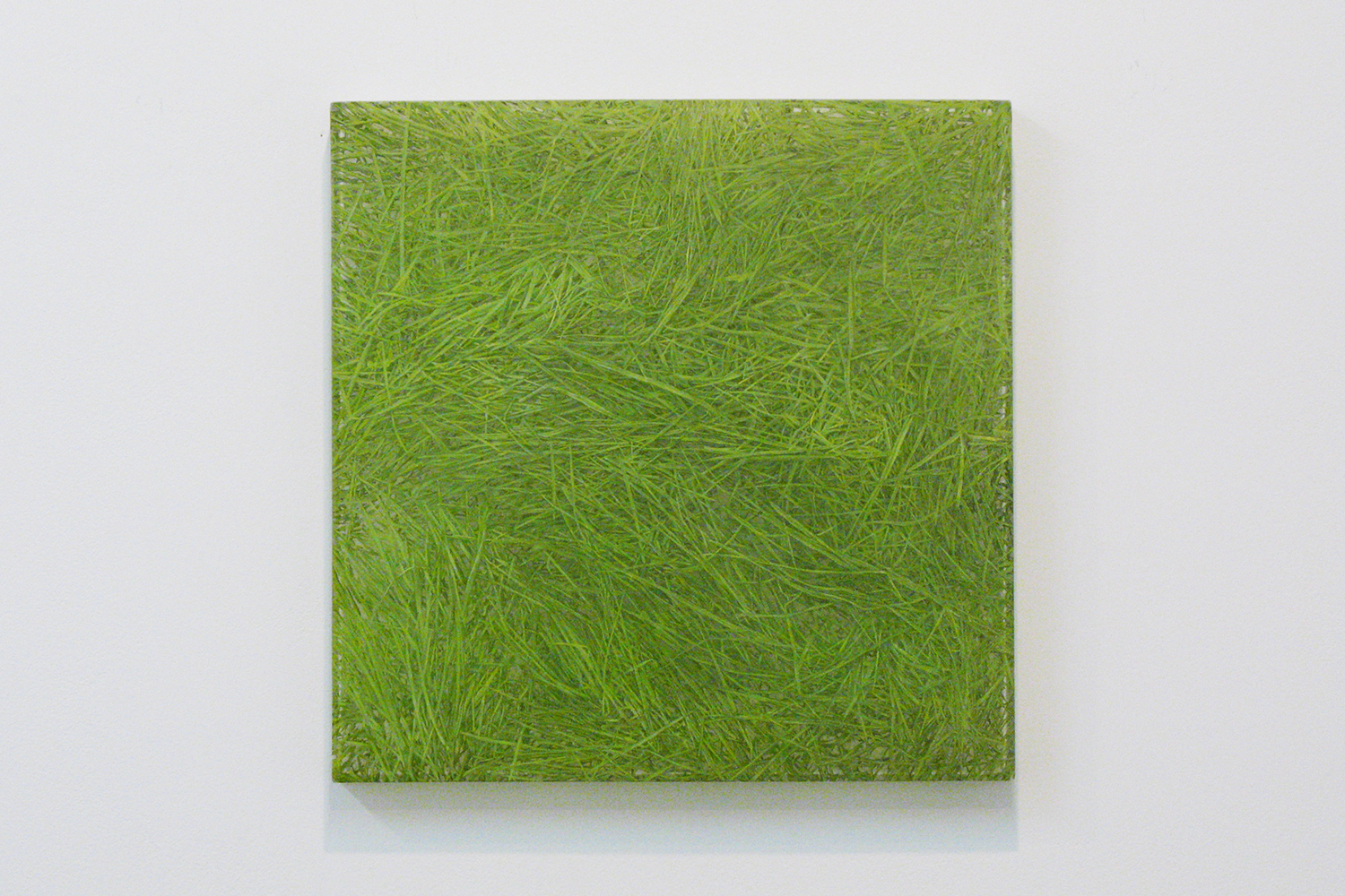 Photo painting-bush 叢｜oil on polyester resin panel and mixed media｜42.5 x 42.5 cm｜2008