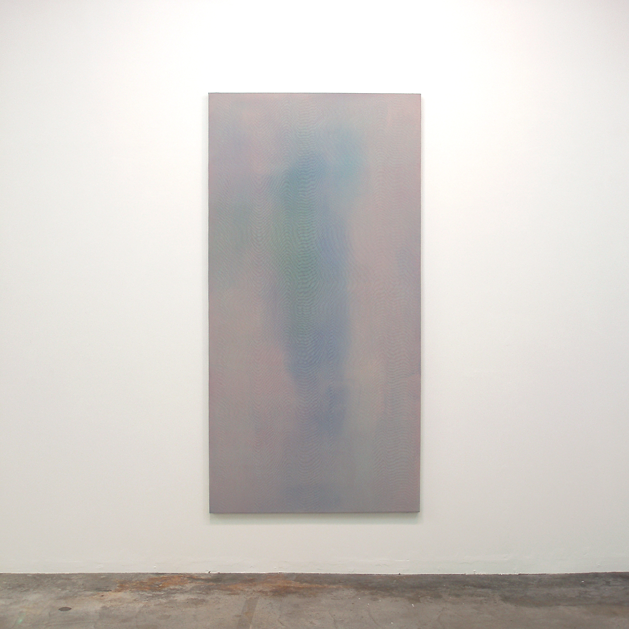 Floating shadow #4｜浮影 #4｜Panel, acrylic, polyester organza｜182 x 910 mm｜2007<br>Price Inquiry