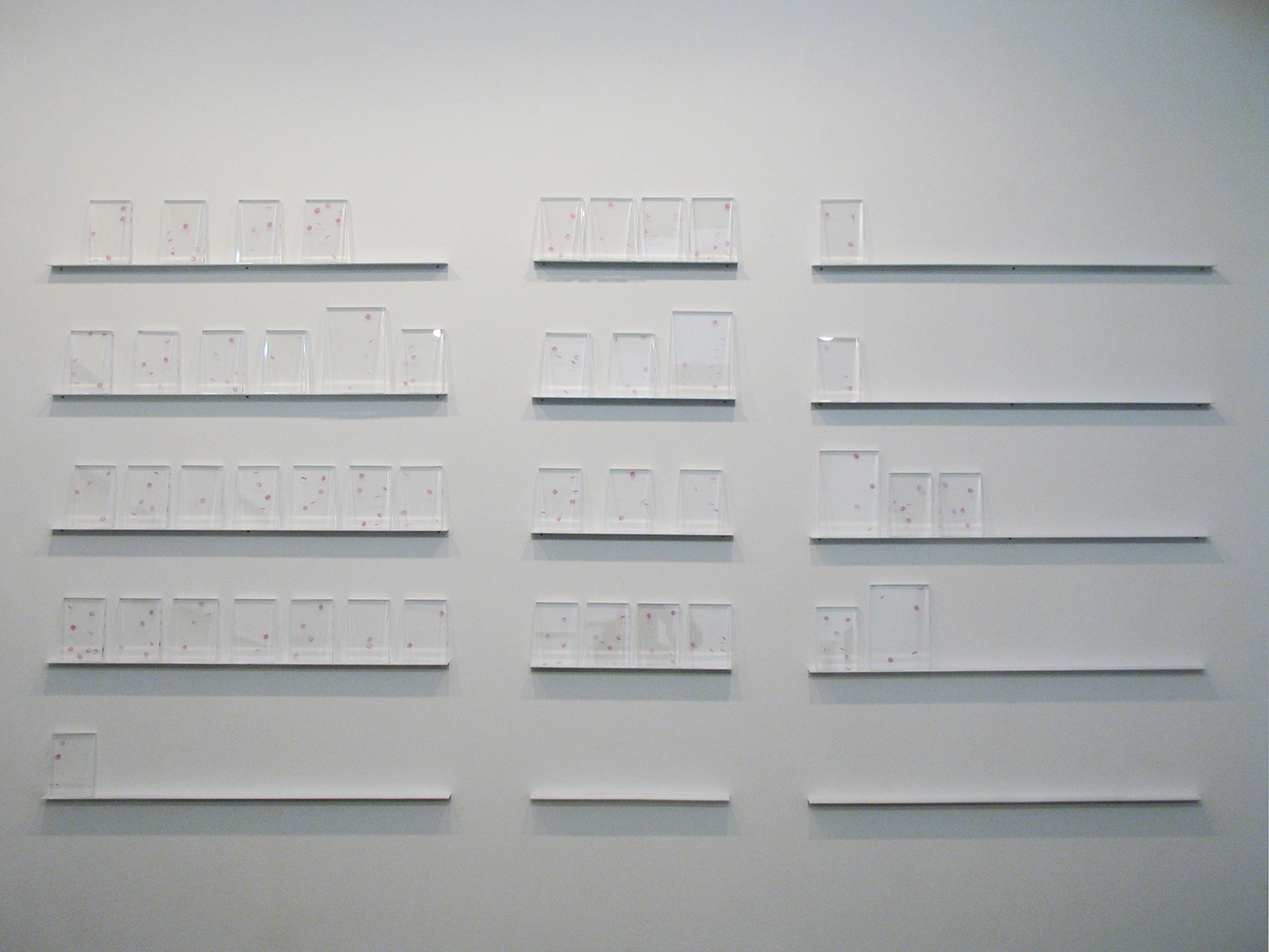 Installation view -  bookshelf, acrylic and transfer seal, 15.3 x 10.5 x 1.6 and 20.8 x 14.8 x 1.6 cm each, 2008