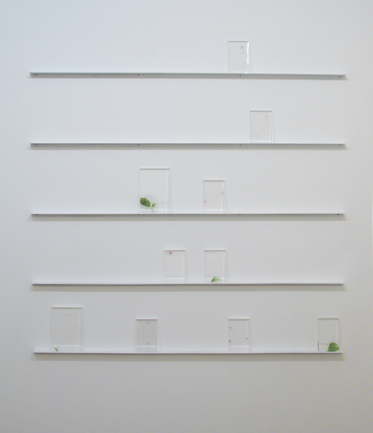 Installation view -  bookshelf, acrylic and transfer seal, 15.3 x 10.5 x 1.6 and 20.8 x 14.8 x 1.6 cm each, 2008