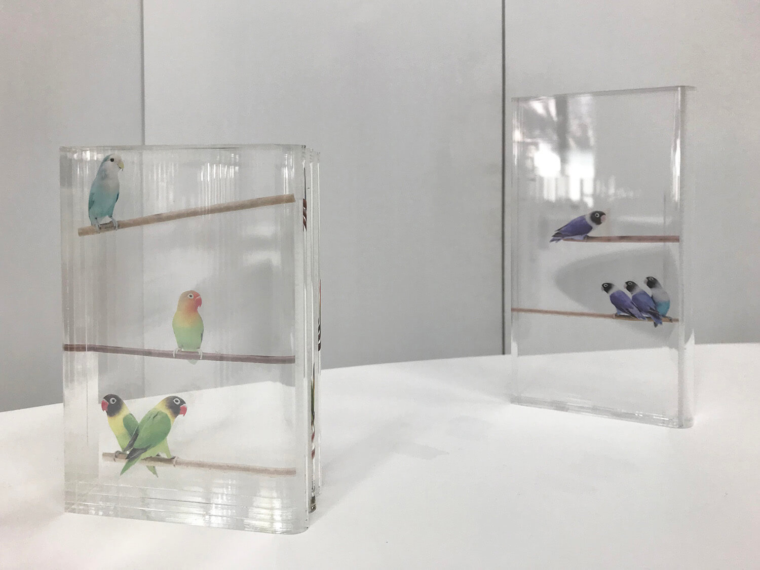 libraly-color bird<br>acrylic and transfer seal<br>105 x 155 x 16 mm each<br>2019